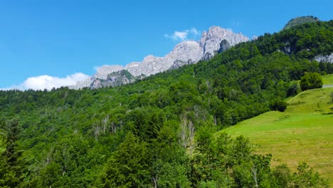 hermosa foto aérea de los bosques y montañas de los alpes suizos en suiza