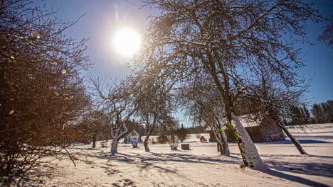 time lapse of winter christmas idyllic landscape with white trees in forest covered with snow against blue sky