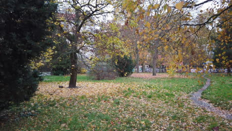 Autumn-in-Berlin-walk-in-the-park-59,94-Osmo-djii-pocket-4K-10-part-1-sec
