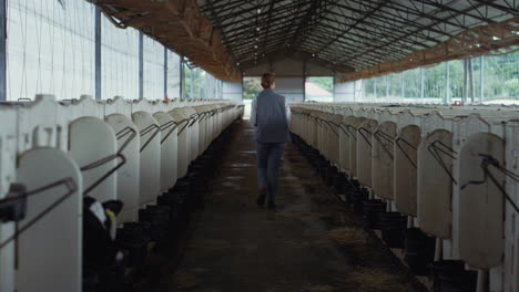 Woman-checking-cattle-shed-at-countryside-rear-view.-Dairy-production-farm.