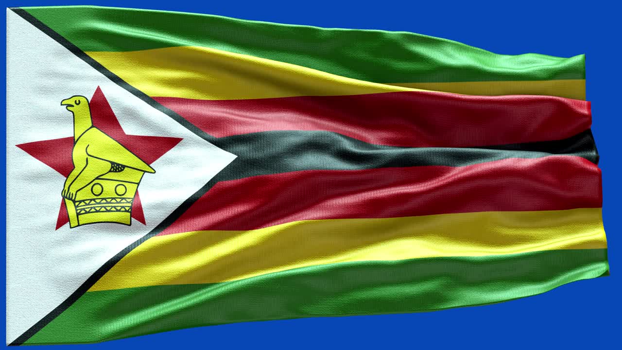 4k 매우 상세한 짐바브웨의 발 - 짐바보웨 발 높은 상세 - 국가 발 짐바바브웨 파동 패턴 loopable 요소