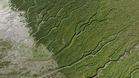 slikken van voorne beauitufl river eco system, marshland canals, fly over, aerial view, netherlands, wide angle