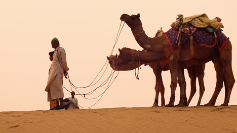 Cameleers,-camel-Drivers-at-sunset.-Thar-desert-on-sunset-Jaisalmer,-Rajasthan,-India.