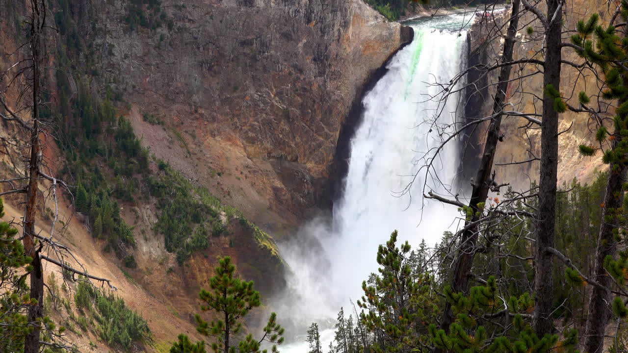 tiro largo con árboles en primer plano de las cataratas inferiores de yellowstone