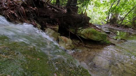 small stream in appalachia flowing over mossy rock