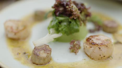 close-up of a gourmet plated scallop dish with greens and sauce, captured in soft natural lighting with shallow depth of field and gentle camera movement