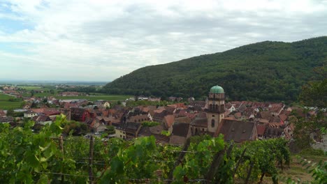 panorama de las afueras y viñedos de la aldea de kayserberg