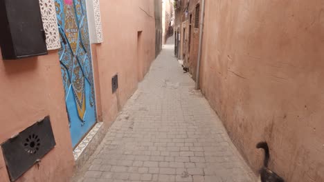 Cat-waiting-and-stroking-wall-in-small-alley