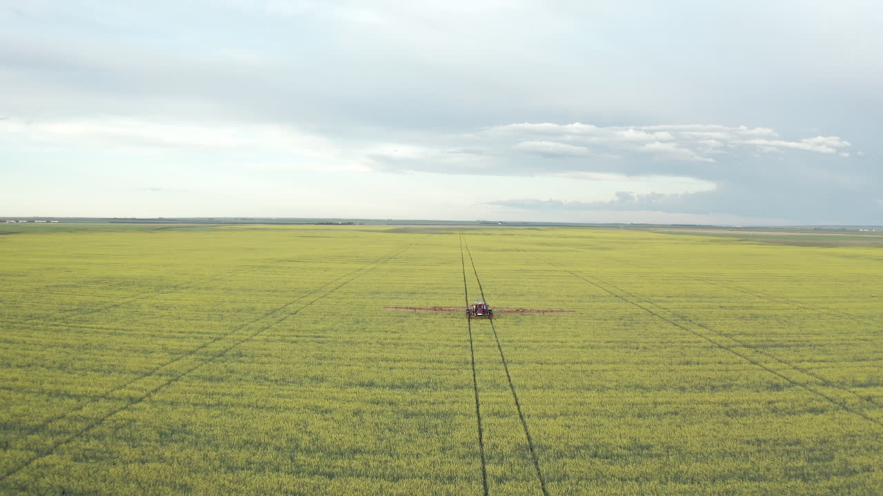캐나다의 아름답고 생생한 노란색 카놀라 밭에 살충제를 바르는 농기계
