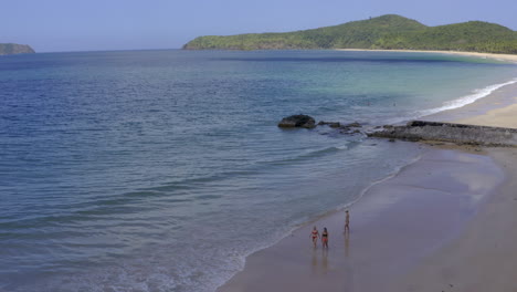 people walking on a tropical beach shore