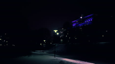 Empty-park-with-streetlamps-in-snowfall-at-night