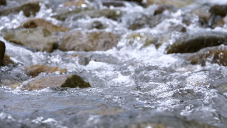 corriente clara que corre a través de rocas de piedra río abundante que fluye en cámara lenta