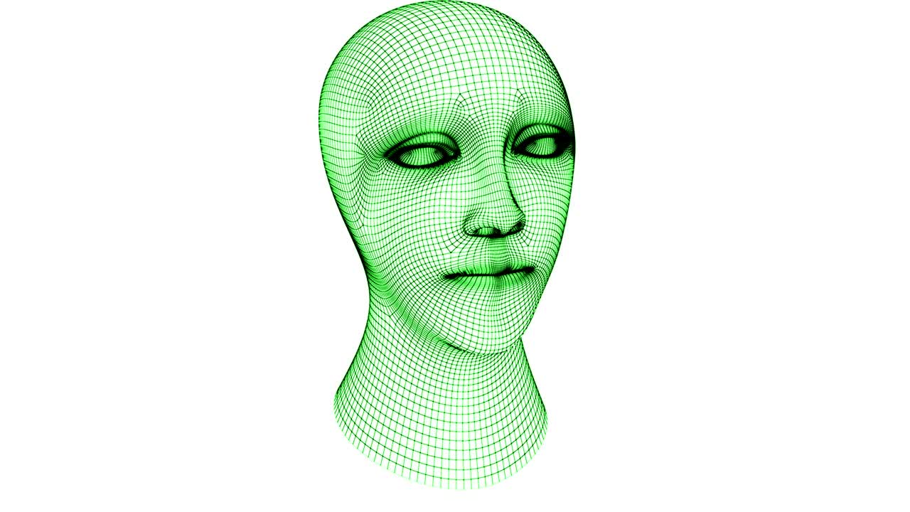 머리의 메쉬는 4k 해상도를 가지고 있습니다.
