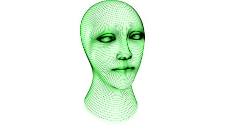 the mesh of a head. looping footage has 4k resolution.