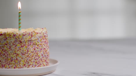 Studio-Shot-Birthday-Cake-Covered-With-Decorations-And-Single-Candle-Being-Blown-Out-2