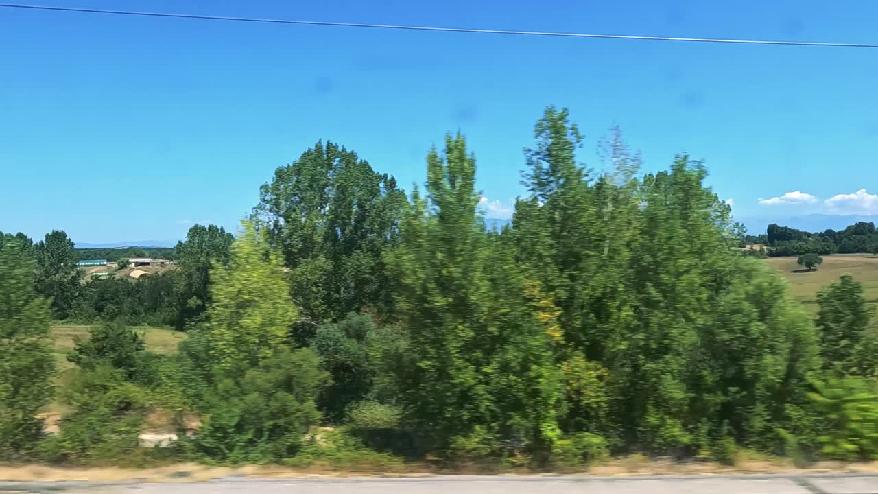 el tren viaja a través de campos exuberantes y líneas eléctricas.