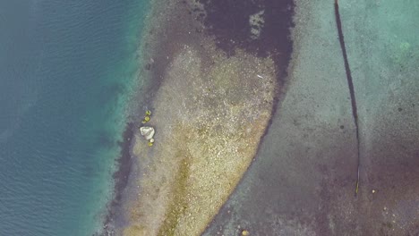 Volk-Der-Wandernden-Schwäne,-Die-über-Offenes-Meerwasser-Mit-Blauen-Löchern-Fliegen,-Senja,-Norwegen