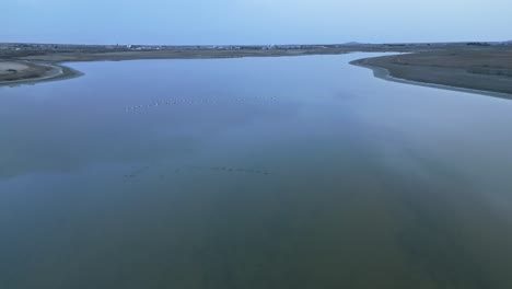 Pájaros-Volando-Sobre-Un-Lago-En-Calma