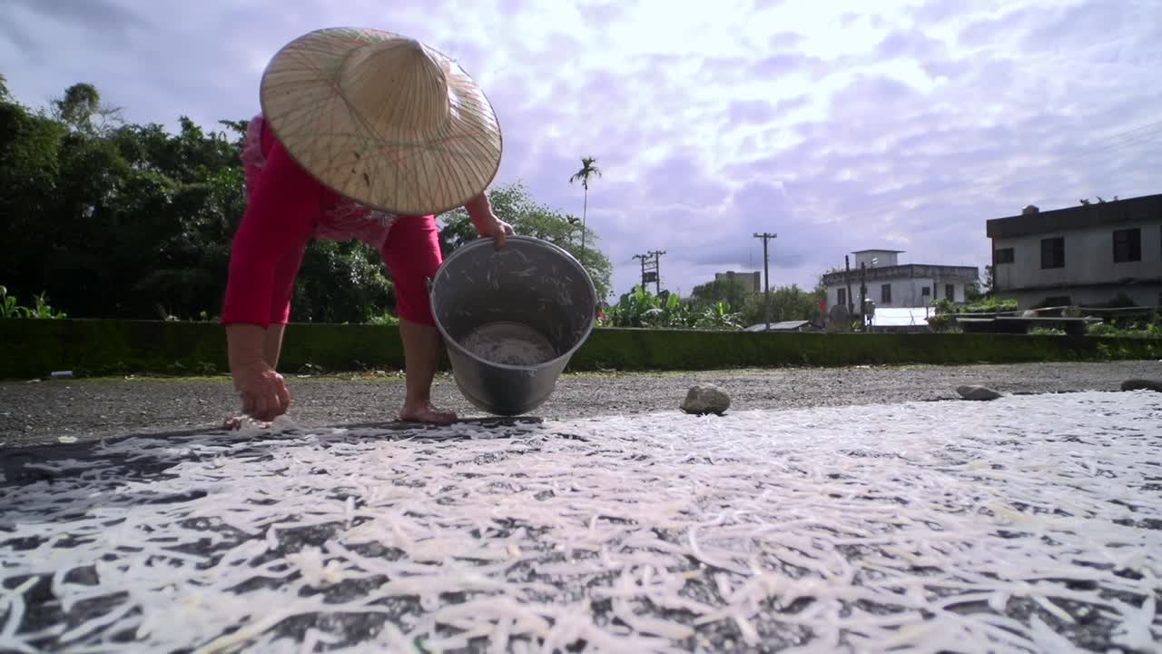 Asian farmer woman laying strips of horse radish to dry under the sun