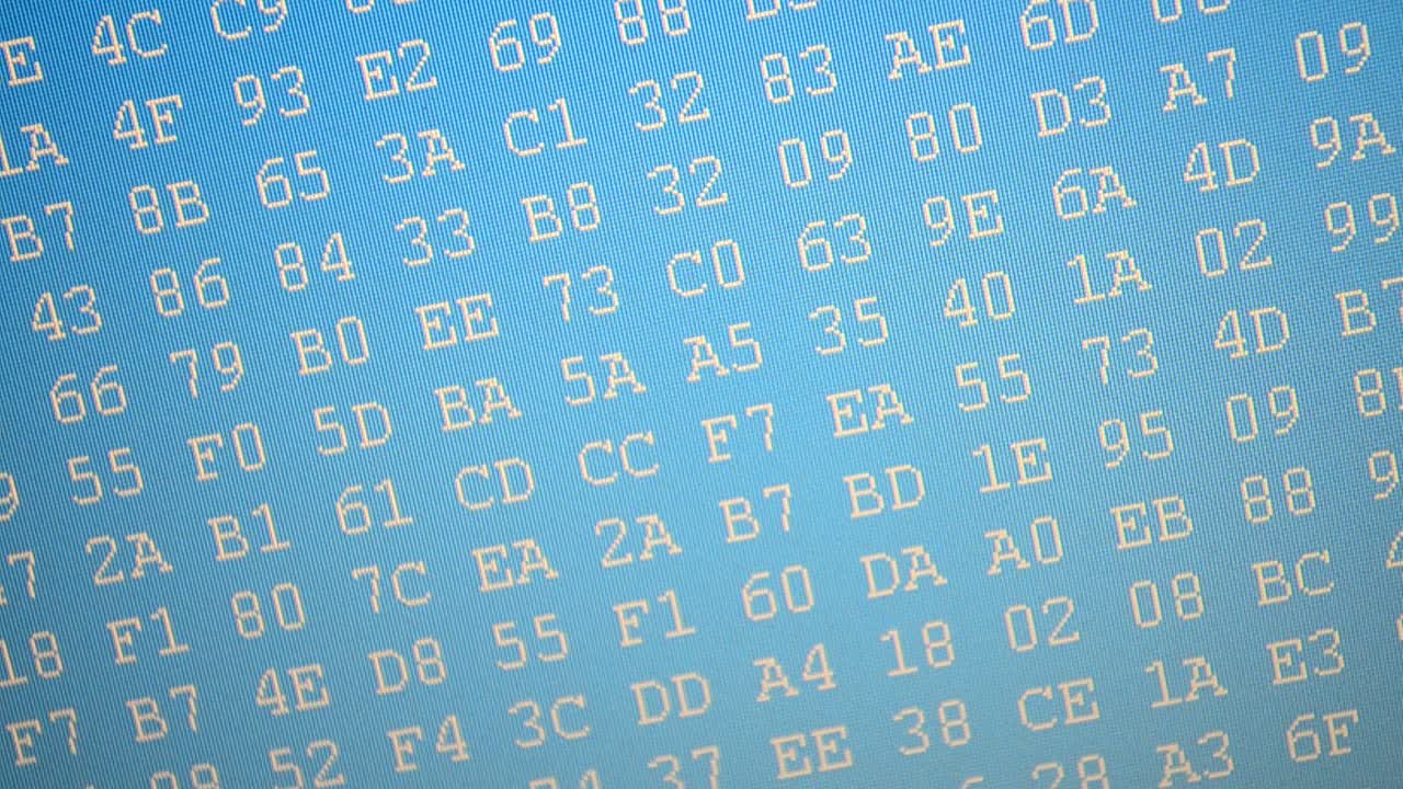 The movement of a code binary in the form of the table. Speed of change of a code. Hexadecimal program code on screen. Animated background of moving binary code numbers