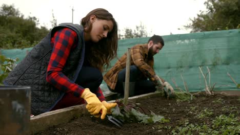 Junges-Paar-Bei-Der-Gartenarbeit