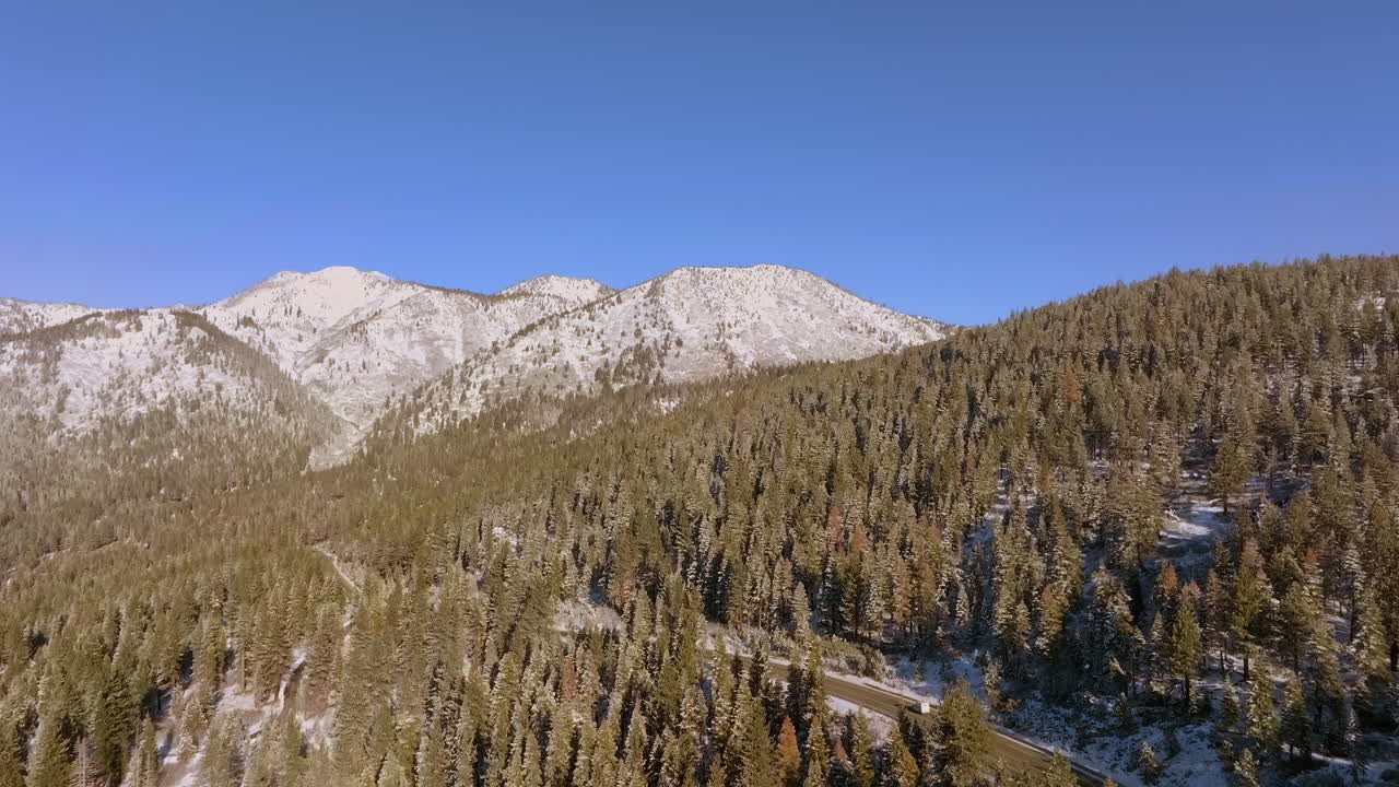 antena del paisaje del lago tahoe de abetos douglas y picos montañosos con inclinación hacia arriba mientras el automóvil conduce por la carretera