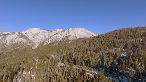 aerial of lake tahoe landscape of douglas fir trees and mountain peaks with tilt up as car drives down the road