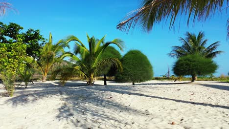 Palm-trees-and-tropical-decorative-plants-on-white-sand-of-exotic-beach-on-a-bright-blue-sky-background-in-Thailand