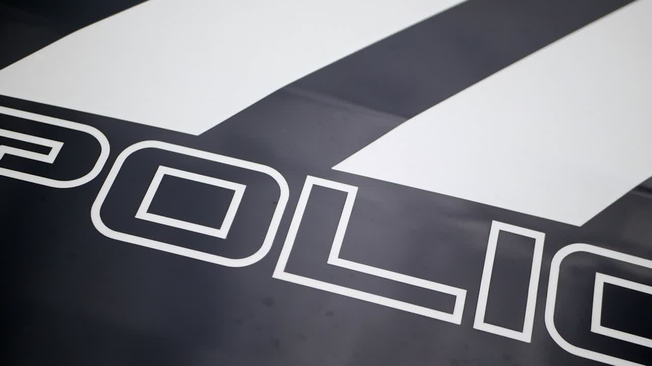 Polícia, Polícia Estadual de Porto Rico