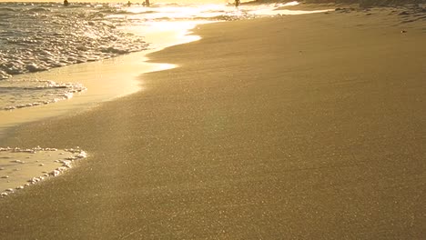 El-Sol-Dorado-Se-Refleja-En-El-Agua-Dorada-De-Una-Playa-Blanca-De-Florida