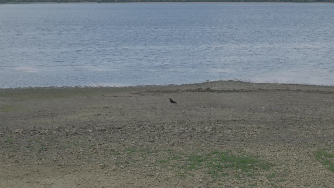 Calm lake scene with a single bird in natural outdoor setting