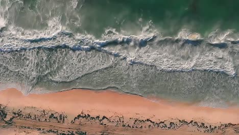 tropical turquoise sea waves crashing on the golden beach sand with seaweed during sunrise - hd drone aerial top down view in 120fps slow motion