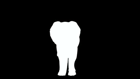 cg renderizado de la animación en bucle de un elefante en funcionamiento.