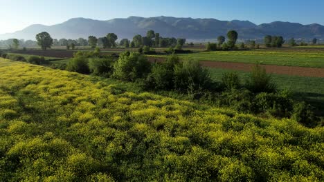 Campos-Vibrantes-De-La-Mañana-De-Primavera-Con-Parcelas-Agrícolas,-Flores-Florecientes-Y-Exuberantes-árboles-Verdes,-Paisajes-Coloridos