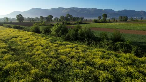 por la mañana de primavera campos vibrantes con parcelas agrícolas, flores en flor, y árboles verdes exuberantes, paisaje colorido