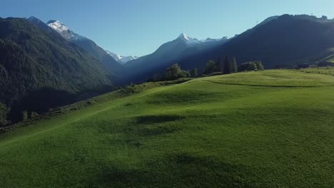 green alpine meadow in austria with snow-capped mountain peaks in the background