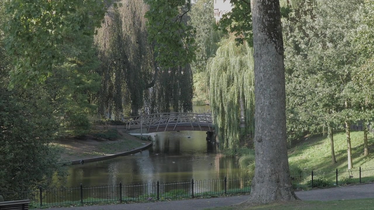 Pont dans un jardin, belle rivière