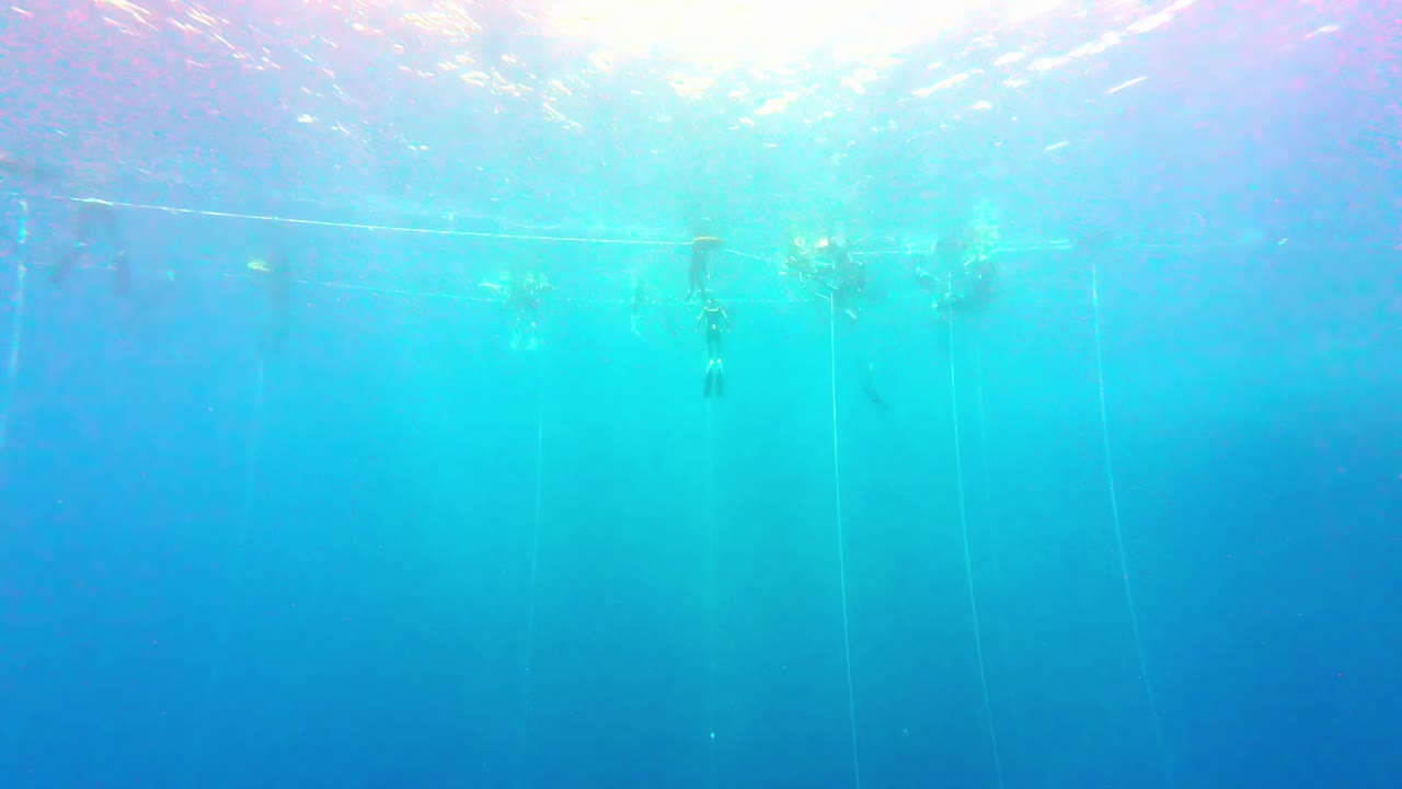 이집트 다하브 의 은 여름 날 에 은 바다 에서 프리 다이빙 활동