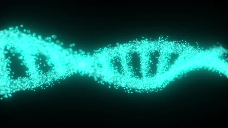 Deine-DNA