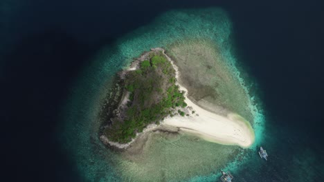 aerial view of a tropical island in the philippines