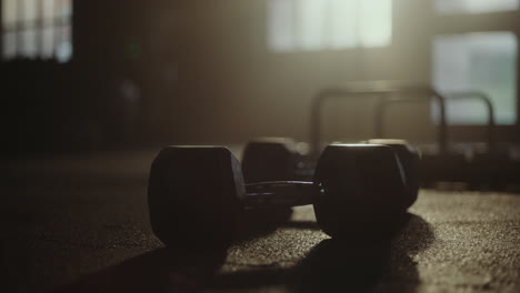 workout with dumbbells in a gym