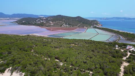 colorful salt flats of Ibiza with the Mediterranean vegetation in the foreground. Fabulous aerial view flight fly push forward drone