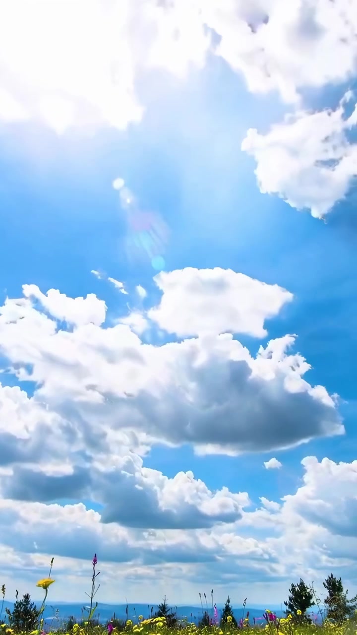 Cielo Azzurro Brillante con Nuvole Bianche Soffici e Raggi di Sole sopra Fiori Selvatici