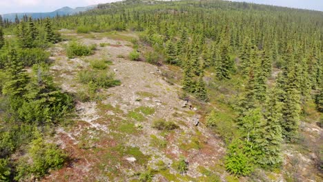 4K-Drone-Video-of-Rocky-Cliffs-of-Wickersham-Dome-in-the-White-Mountains-of-Alaska-on-Sunny-Summer-Day