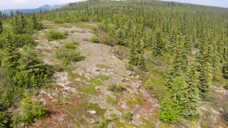 video de drones de 4k de acantilados rocosos de la cúpula de wickersham en las montañas blancas de alaska en un día soleado de verano