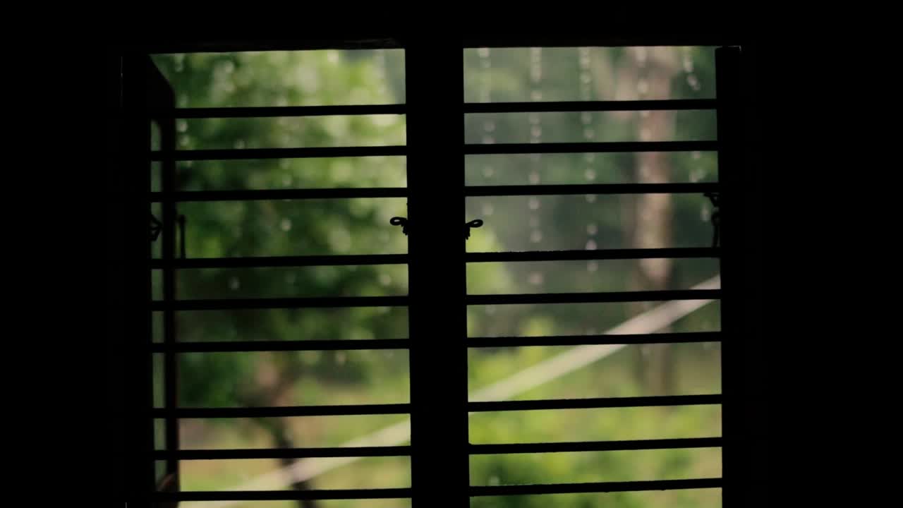 비가 오는 날 창문을 통해 볼 수 있는 풍경