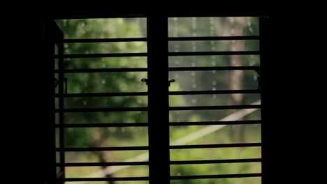 vista de un día lluvioso a través de una ventana