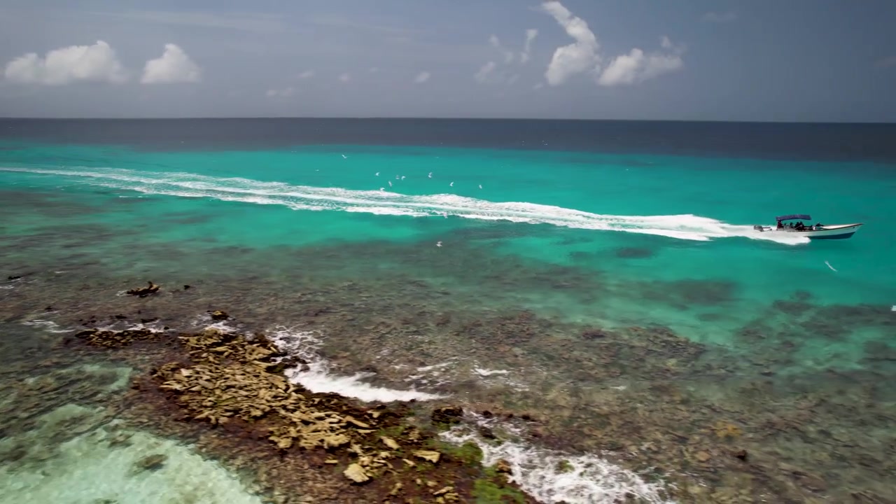 Motoscafo che attraversa il turchese Mar dei Caraibi lasciando una scia bianca vicino a Los Roques, Venezuela.