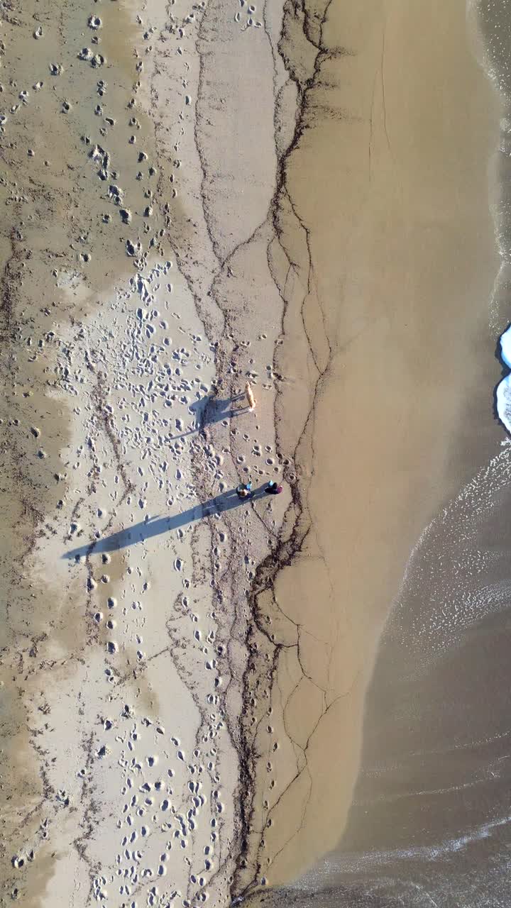 Cinematic 9:16 vertical drone shot. High-angle top-down view of two people and their dog walking along a sandy beach shore, casting long artistic shadows. Perfect for lifestyle and travel reels