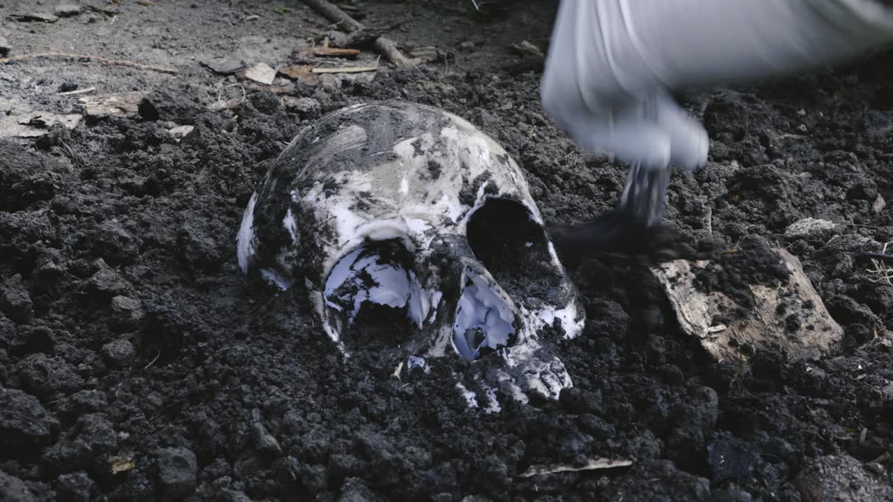 Archeologist carefully brushing dirt soil from excavated human skull
